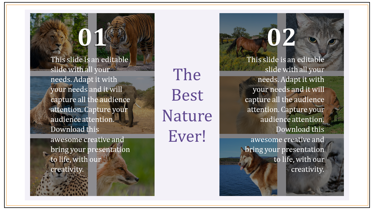 Awesome Nature Presentation Templates With Animal Pictures